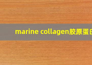 marine collagen胶原蛋白